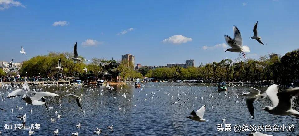 昆明有什么好玩的地方景点(昆明免费的旅游景点推荐)-图片13